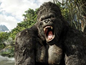 Le Roi Kong