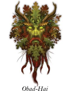 Savage Greyhawk — les domaines