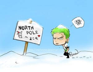 One Piece - règles d'orientation