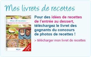 Livret de recettes "Bridelight"