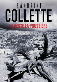Il reste la poussière de Sandrine Collette