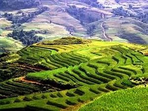 Til april rejser jeg til Vietnam