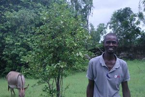 Les visages de l'utopie (Sénégal)