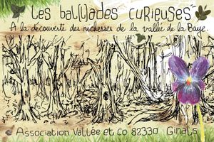Nos partenaires en France