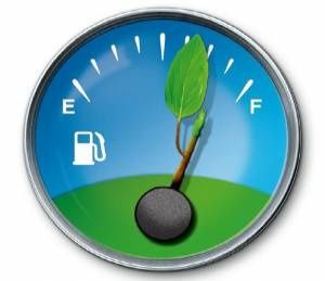 Guidare verde e spendere meno: arriva l’eco-driving