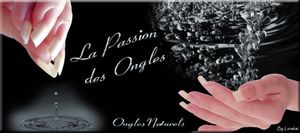 Top 5 des blogs !