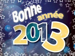 Voeux 2013