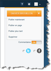 Articles, pages, brouillons quand, comment et pourquoi les utiliser ?
