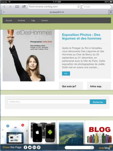 Overblog Kiwi : gérer les sections, images, vidéos, liens en toute indépendance (1)