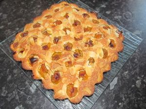 Gâteau aux mirabelles ou quetsches thermomix