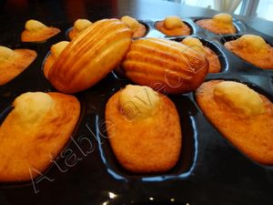 Madeleines à la fleur d'oranger