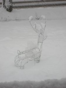 Unser Reh versinkt im Schnee