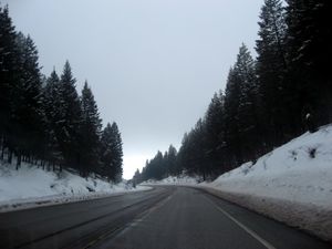 Mal eben 2x500 km in den Yellowstone National Park...