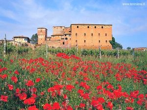 Toscana 4x4