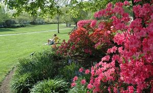 Philadelphia, la città più verde d’America