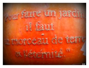 Jardins fruitiers de Laquenexy Vente d'arbres depuis le 14 novembre