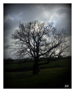 Météo du jour sur Metz