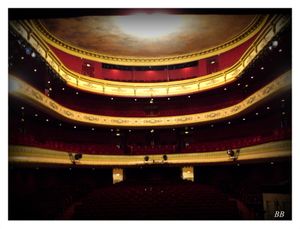 Opéra-Théâtre de Metz Métropole "L'Enlèvement au Sérail" les 20, 22 et 24 février 2015