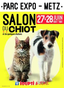 Metz Expo salon des chiots et des chatons du 27 au 28 juin 2015