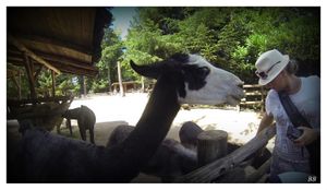 Parc Zoologique d’Amnéville 2015