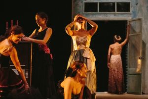 Opéra-Théâtre de Metz Métropole La Cerisaie ou le paradis de l'enfance perdue les 12 et 13 février 2016