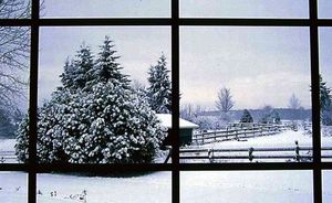 Esprit d’hiver – Laura Kasischke⎥ Note: 19/20