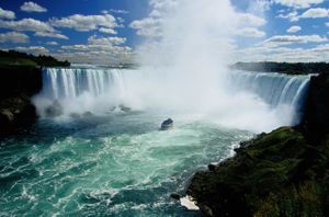 Les Chutes - Joyce Carol Oates / 17/20