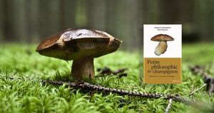 Petite philosophie du champignon – Tony Saccucci ⎥ Note: 15/20