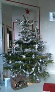 RESULTAT DU CONCOUR DES 3 PLUS BEAUX SAPINS DE NOEL