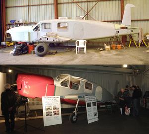 Les Caudron monoplans survivants