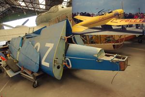 Les Caudron monoplans survivants