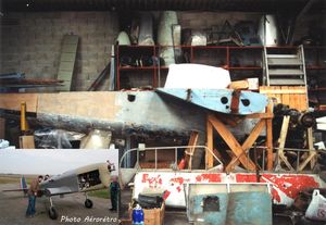 Les Caudron monoplans survivants