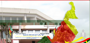 Cameroun. Minepat