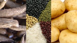 Agriculture. Le Cameroun, gros importateur des produits agricoles
