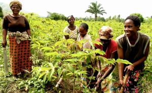 La finance inclusive pour financer l'agriulture