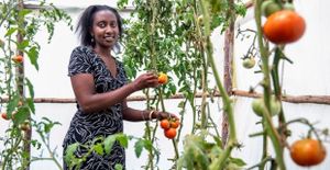 Le FIDA encourage les jeunes agriculteurs