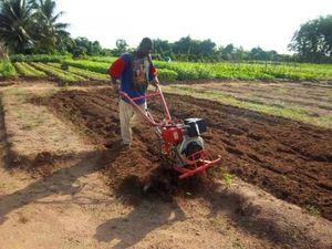 Le Pidma encourage l'agriculture intelligente