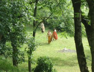 So FAAR away ! : Entraînement intertroupes en forêt