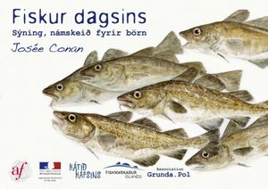 Juin : Reykjavik et Grundarfjordur