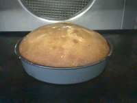 GENOISE