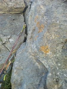 Arete NW Aiguillette du Lauzet... euh Arete NW variante, Contreforts de Gauche 1ère tour, Aiguillette du Lauzet