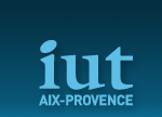 Licence professionnelle