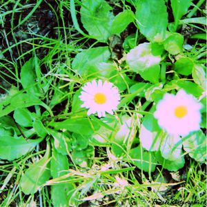 Bienvenue sur mon blog !