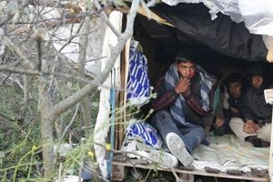 Mobilisation : Aslan va être expulsé!