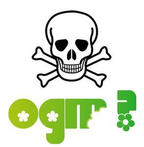 OGM : le moratoire est de nouveau menacé