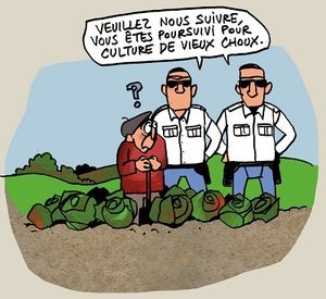 Privatisation des semences : une guerre de l’ombre se livre depuis un siècle