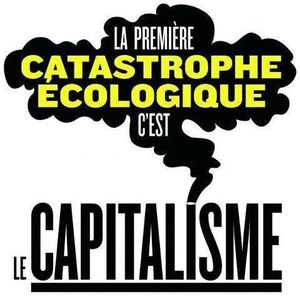 « L’écosocialisme, c’est l’horizon capable d’intégrer cette diversité »