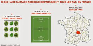 L’accaparement de terres et la concentration foncière menacent-ils l’agriculture et les campagnes françaises ?