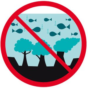 Barrage de Sivens : 25 octobre 2014, grand rassemblement