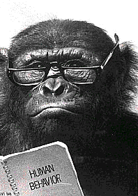 Métacognition de l'animal